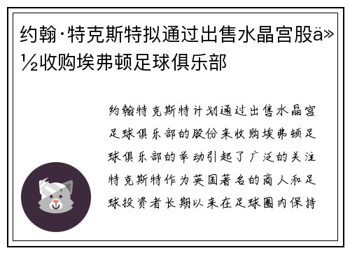 约翰·特克斯特拟通过出售水晶宫股份收购埃弗顿足球俱乐部